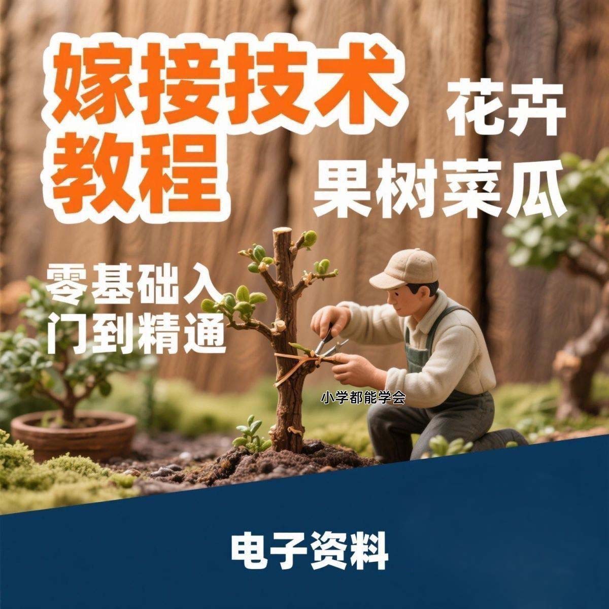 【种植技艺】自学阳台种植蔬菜水果盆栽绿植盆景阳台科学种植技术课程 1.42G