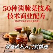 50种酱腌菜技术商业配方 腌菜大全套 腌菜技术 腌菜手艺 辣白菜 韩式泡菜 8.6G